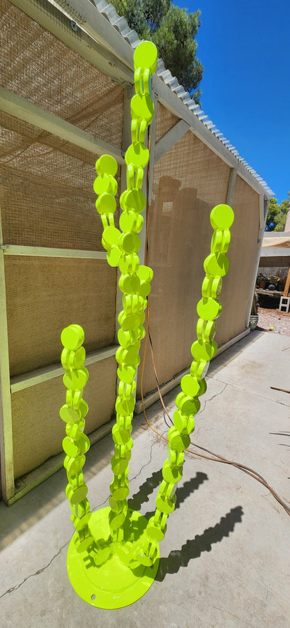 Constant Cacti